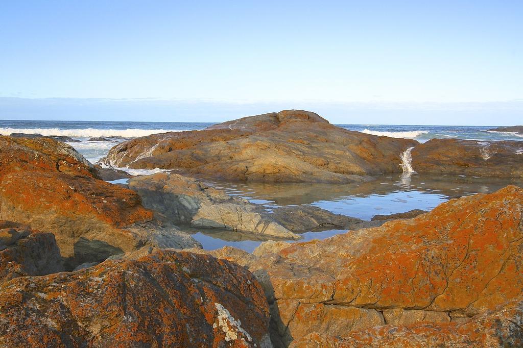 Saltwater - Absolute Oceanfront, Fire Pits, Some Villas With Hot Tubs And Sauna Falmouth Extérieur photo