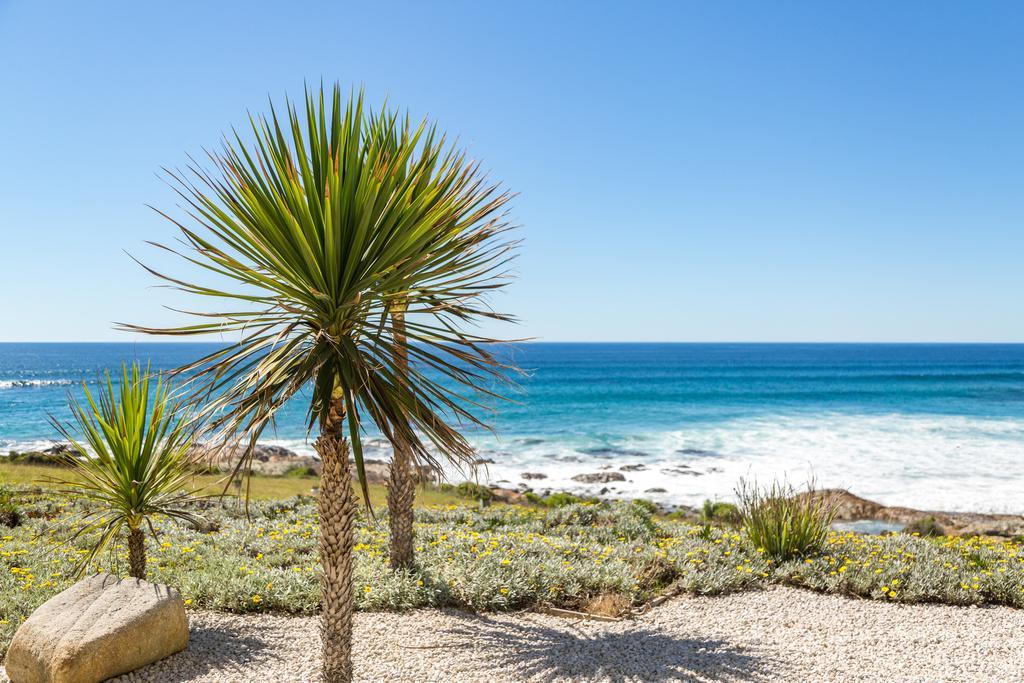 Saltwater - Absolute Oceanfront, Fire Pits, Some Villas With Hot Tubs And Sauna Falmouth Extérieur photo